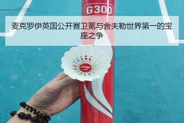 mai-ke-luo-yi-ying-guo-gong-kai-sai-wei-mian-yu-she-fu-lei-shi-jie-di-yi-de-bao-zuo-zhi-zheng-3-603.jpg
