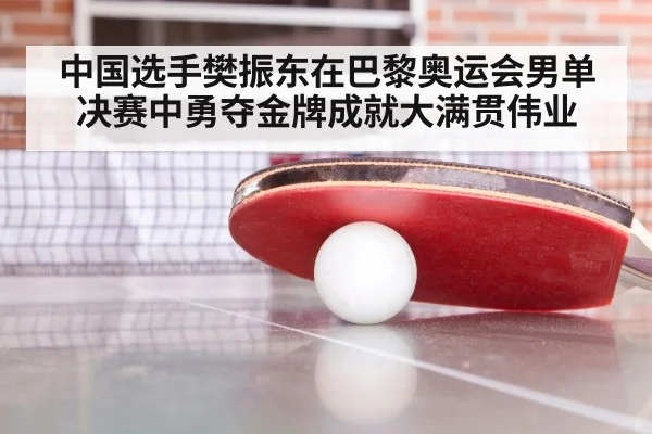 中国选手樊振东在巴黎奥运会男单决赛中勇夺金牌成就大满贯伟业